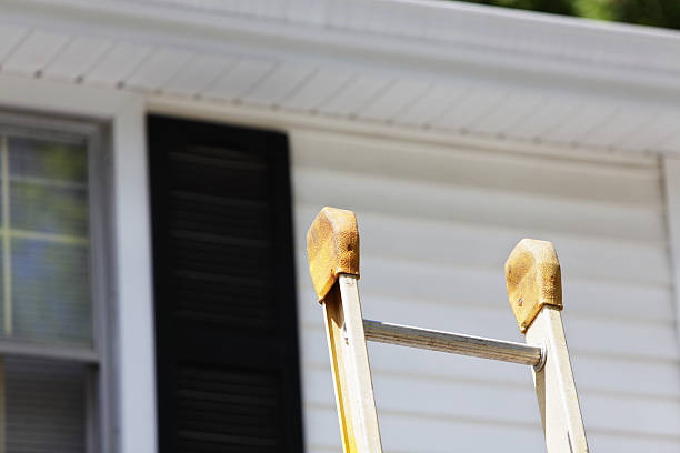 Best Siding Removal and Disposal  in Blandon, PA